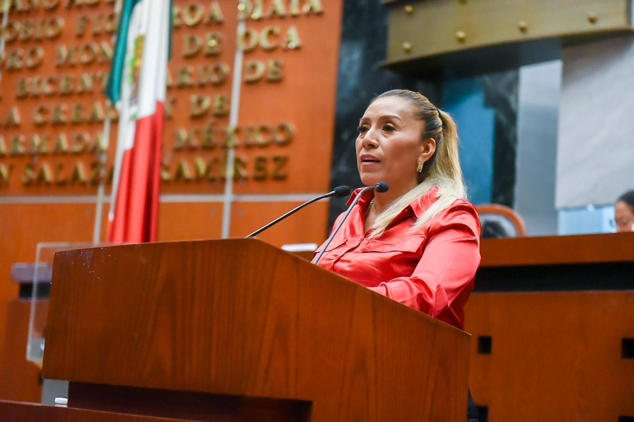 Propone diputada elevar a rango constitucional el principio de no regresividad presupuestal