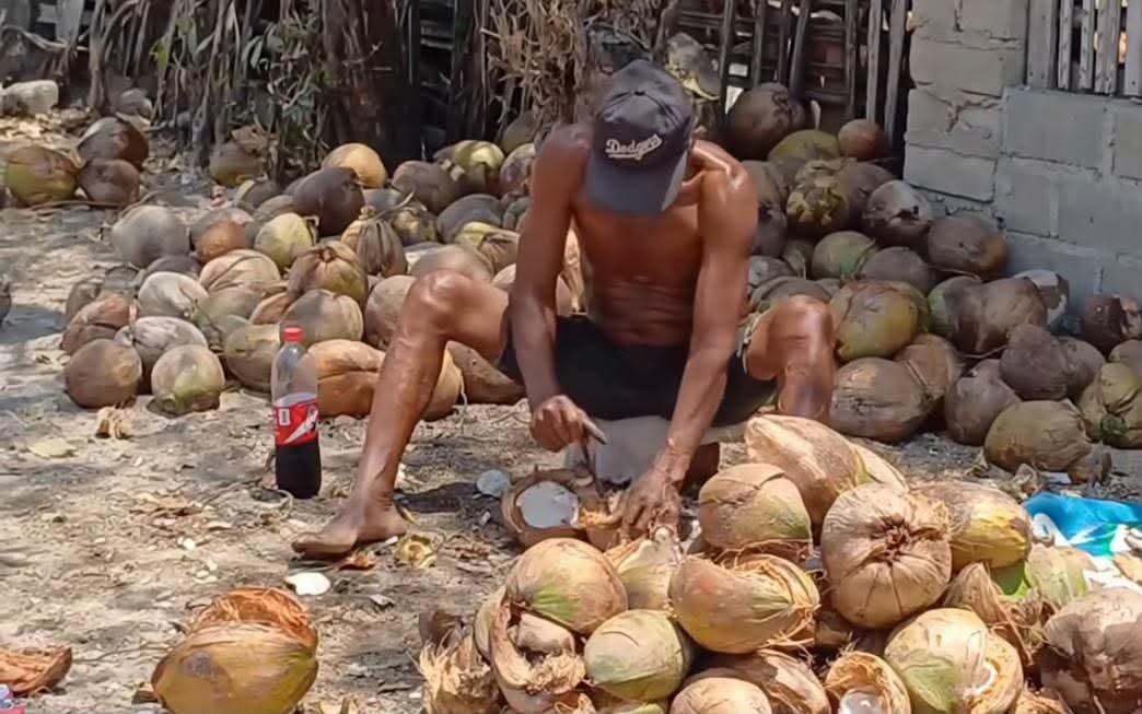 Cococultores de Tenexpa denuncian bajos precios y piden apoyo para el sector