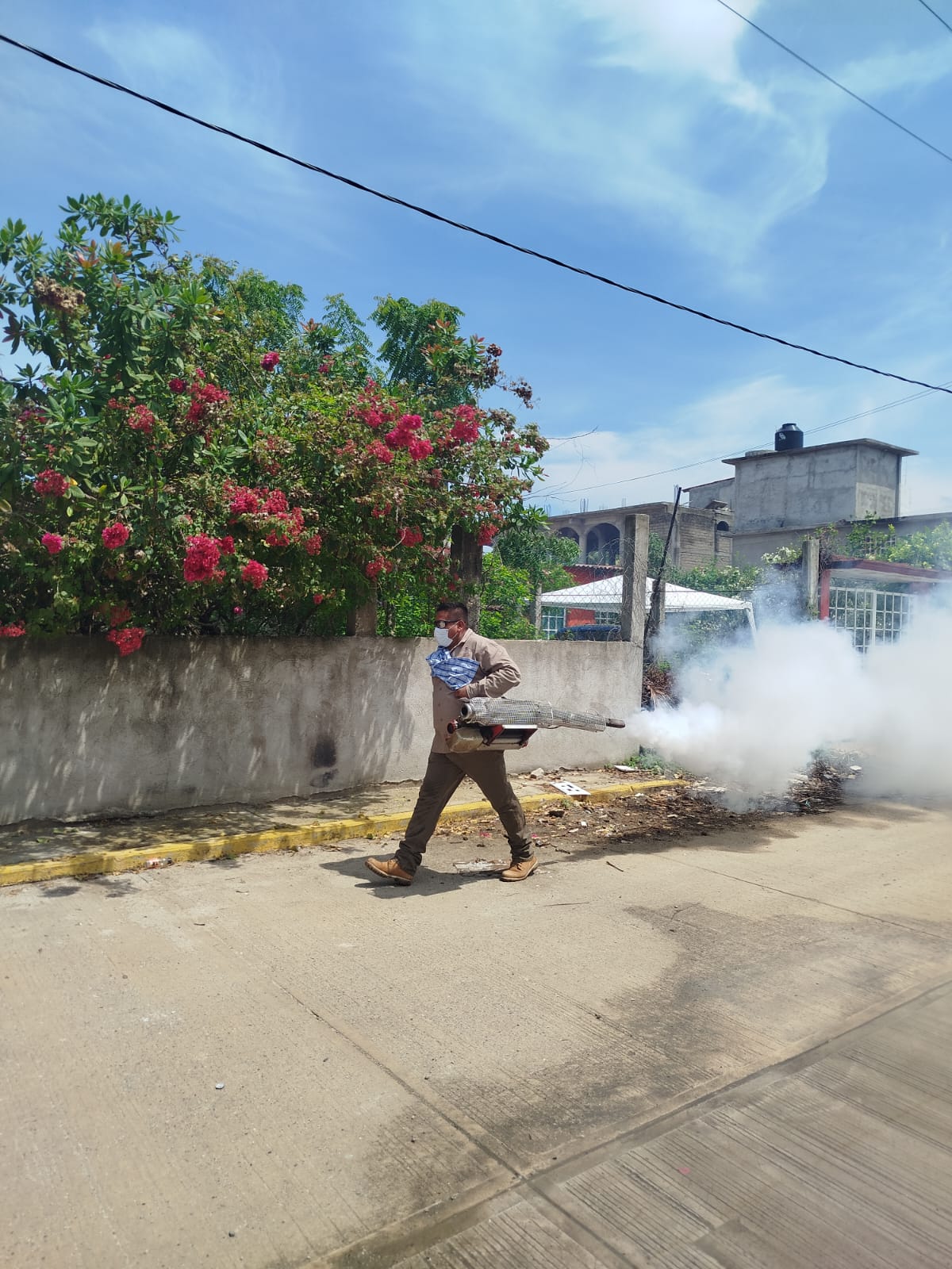 Refuerza Salud Guerrero acciones preventivas contra el dengue