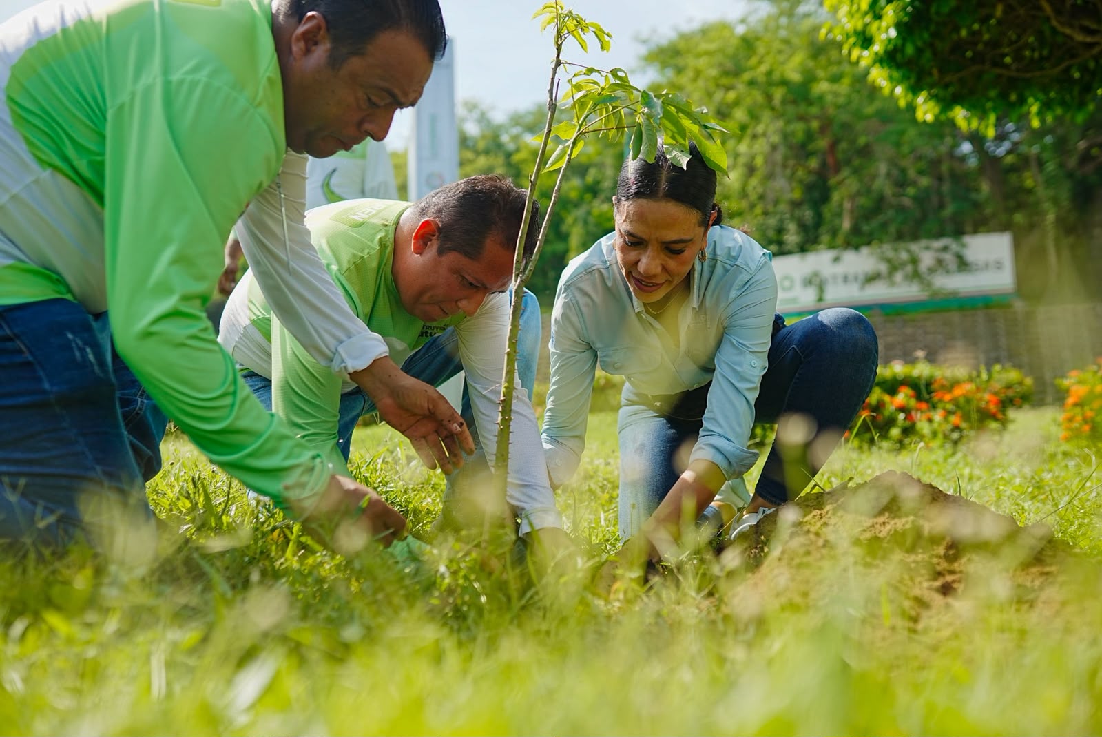 Intensa campaña de reforestación en Zihuatanejo