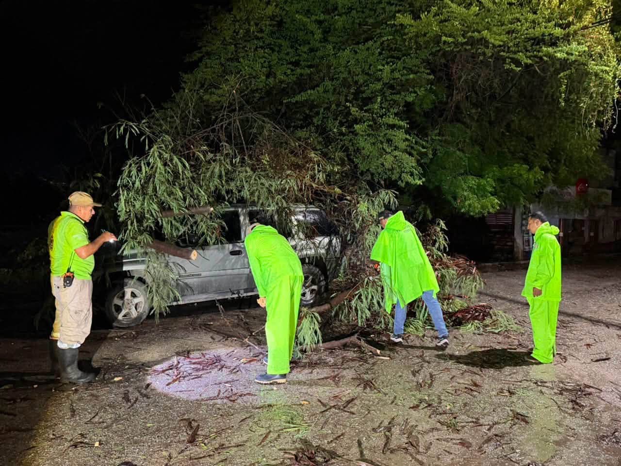 Vientos y tormenta provocan caída de árboles, postes y cortes de servicios en Tecpan