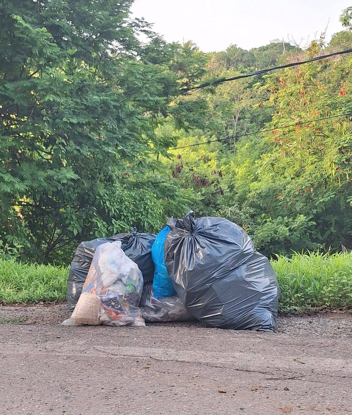 Prestadores turísticos denuncian ocho días sin recolección de basura en Puerto Vicente Guerrero