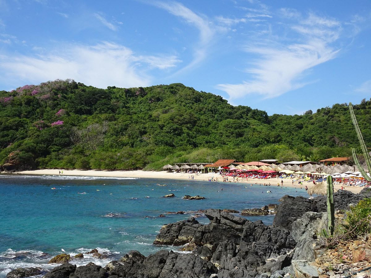 Proyectan nueva Área Natural Protegida marina en Costa Grande