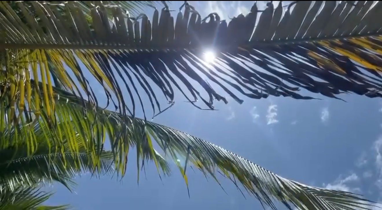 Altas temperaturas provocan al menos un golpe de calor diario en Zihuatanejo