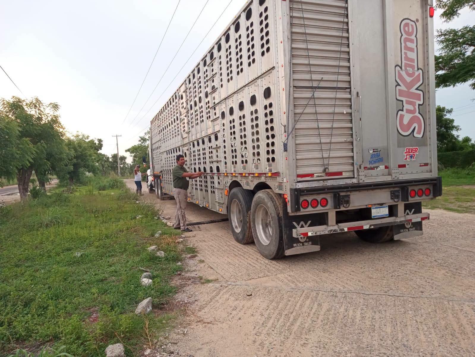 Sagadegro mantiene vigilancia sanitaria para proteger la sanidad pecuaria en Guerrero