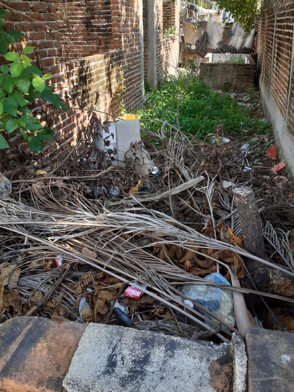 Denuncian basurero clandestino en San Jeronimito, Petatlán
