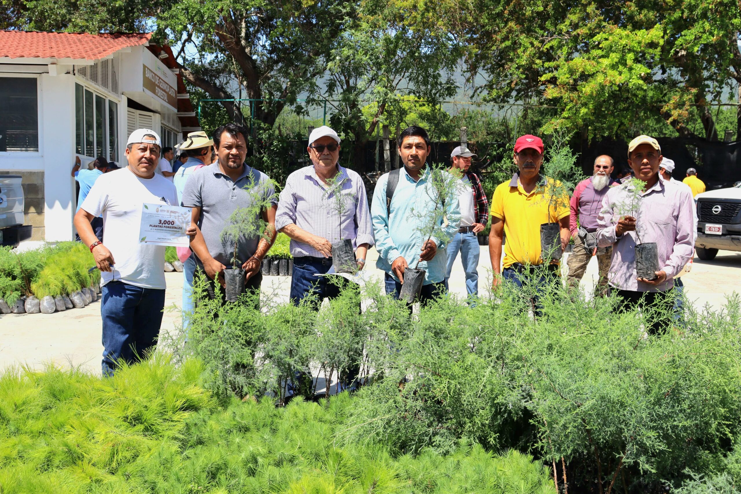 La SEMAREN entrega 20 mil 850 plantas forestales y supera las 62 mil distribuidas en Guerrero