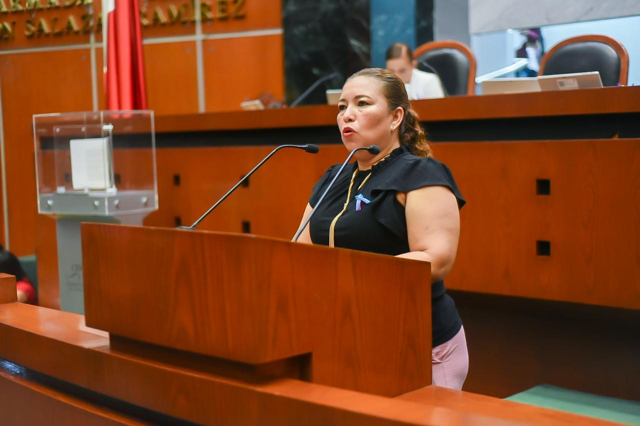 Exhorta el Congreso a CICAEG verificar las condiciones de caminos rurales de Ometepec