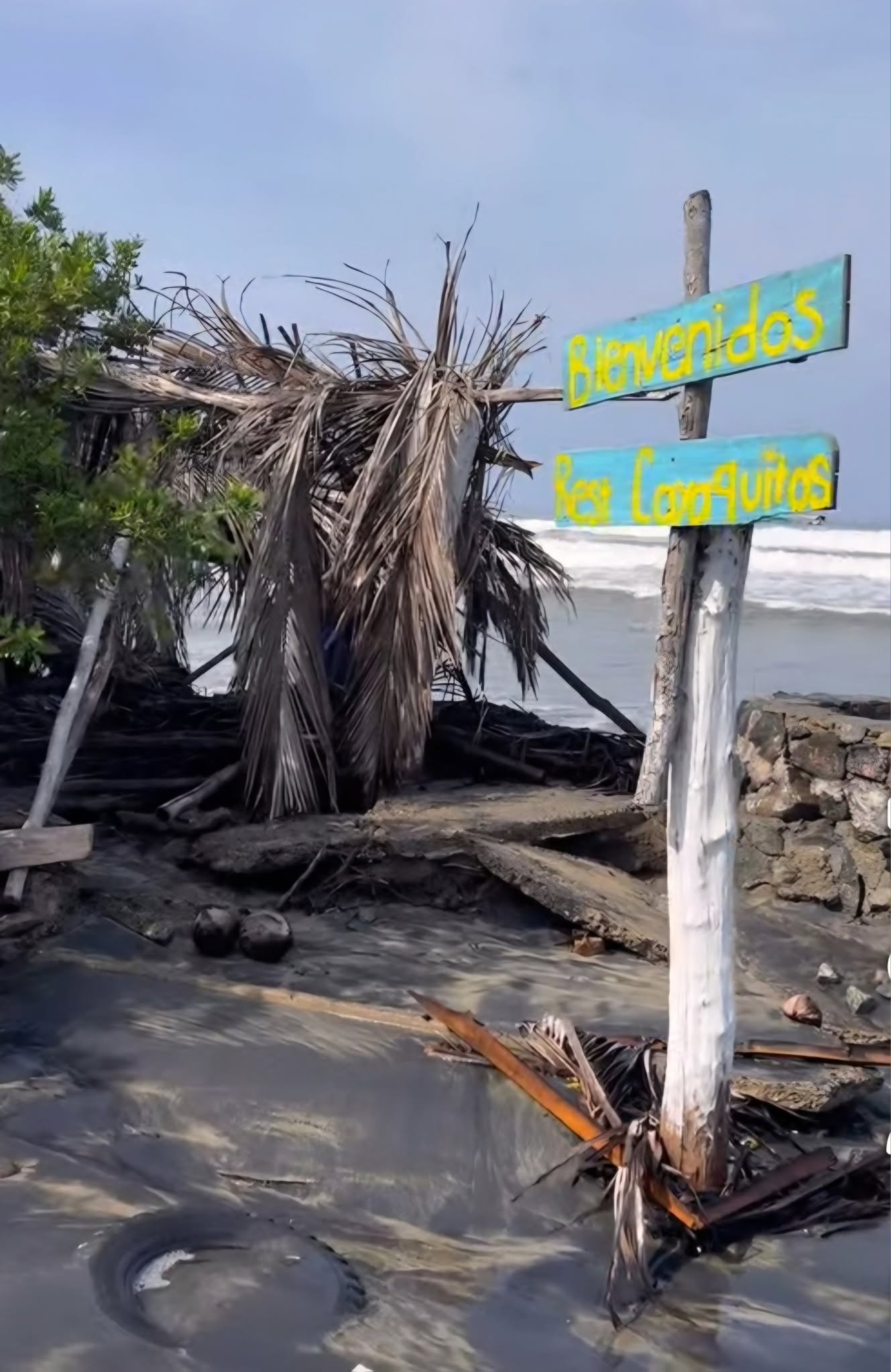 Oleaje de Polo destruye restaurantes y causa daños en negocios de Bahías de Papanoa
