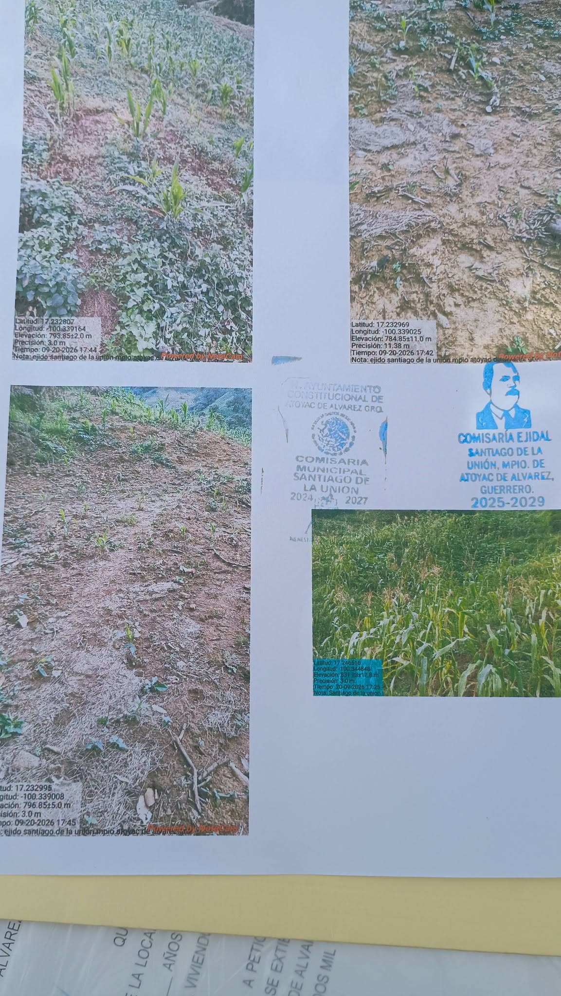 Sequía afecta 237 hectáreas y pone en riesgo cosecha de 250 productores en Atoyac