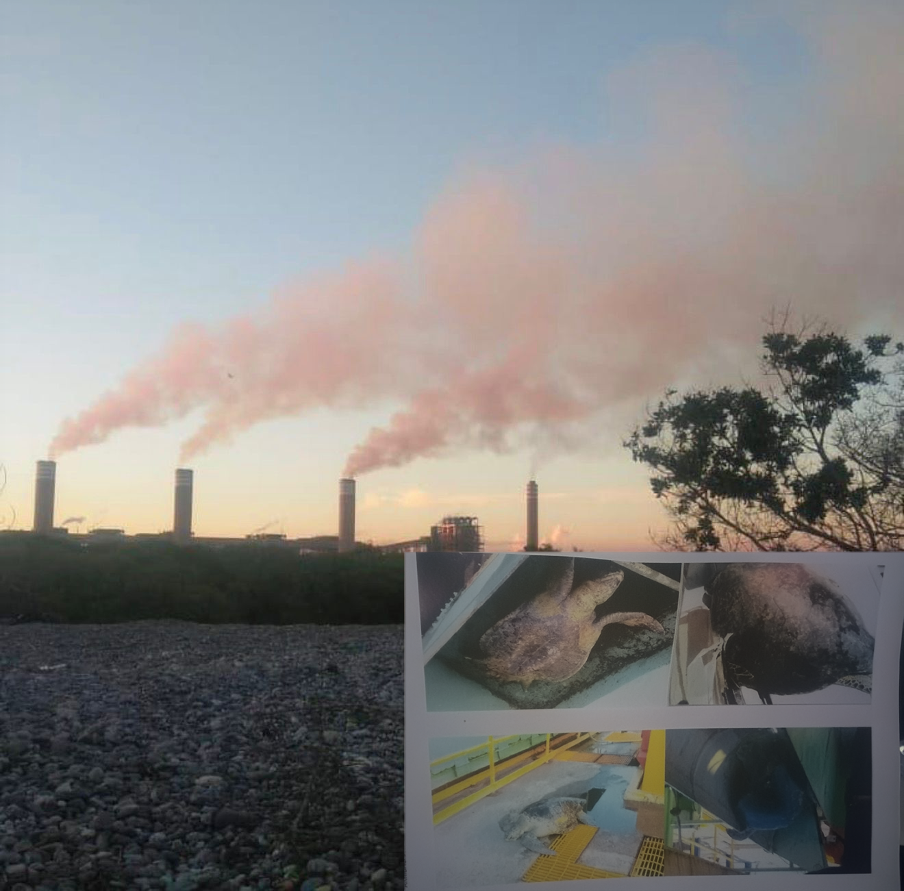 Pescadores de Petacalco denuncian contaminación y afectaciones ambientales