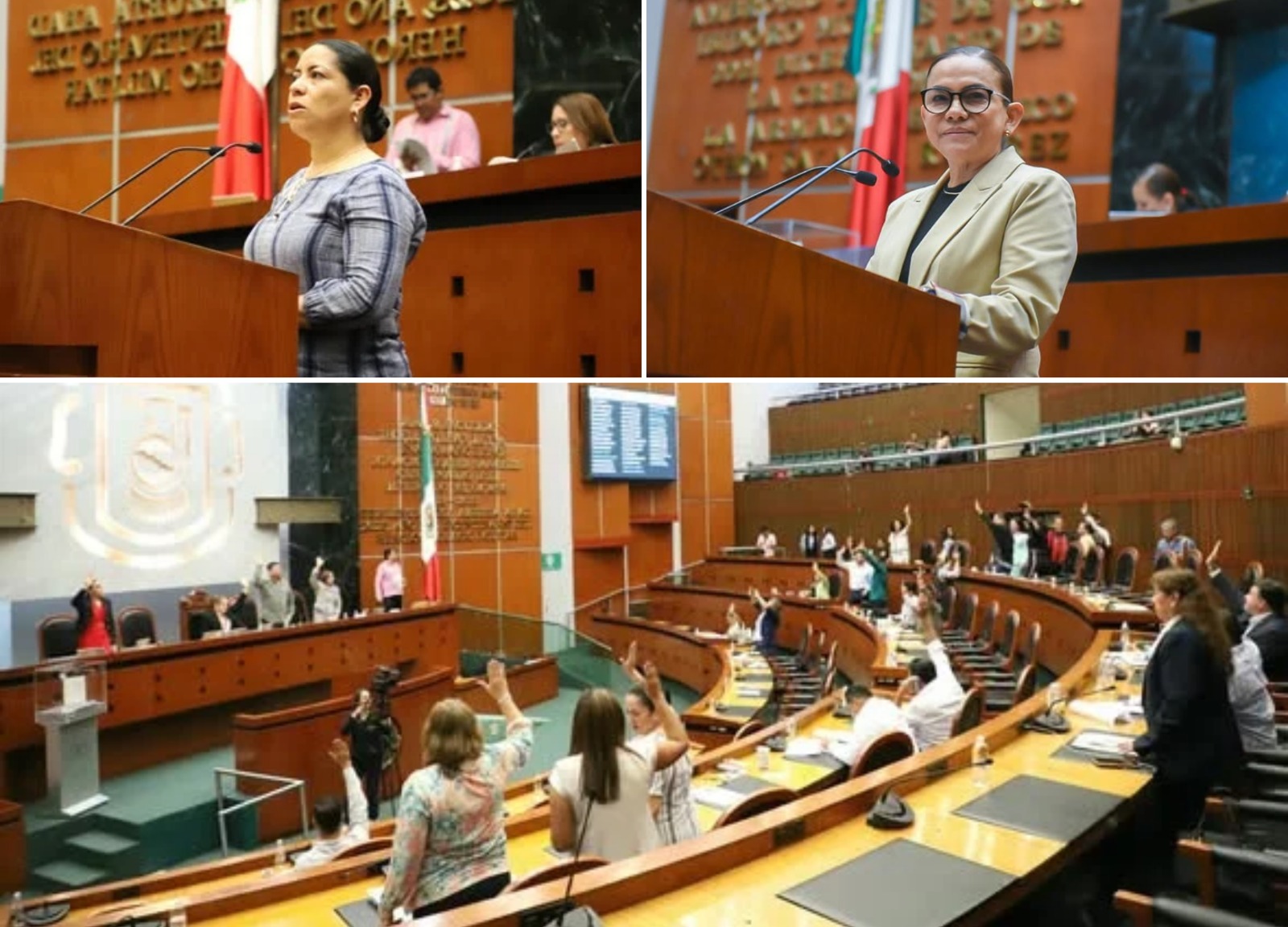 Llaman desde el Congreso a instaurar el Festival de la Hamaca