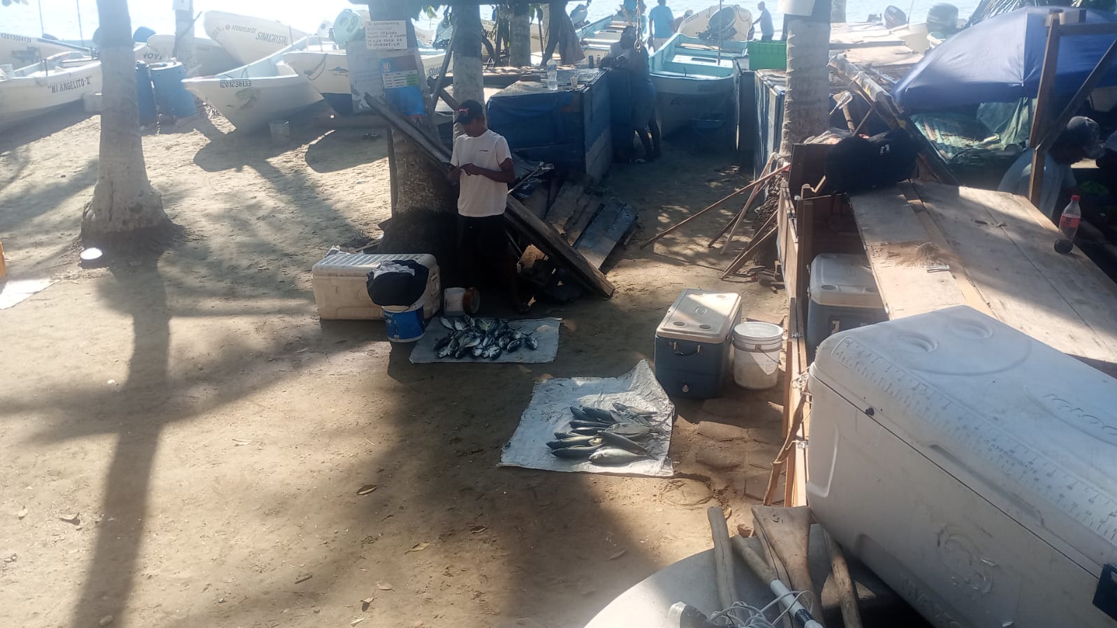 Baja captura de pescado limita la oferta en Playa Principal; pescadores esperan mejor temporada